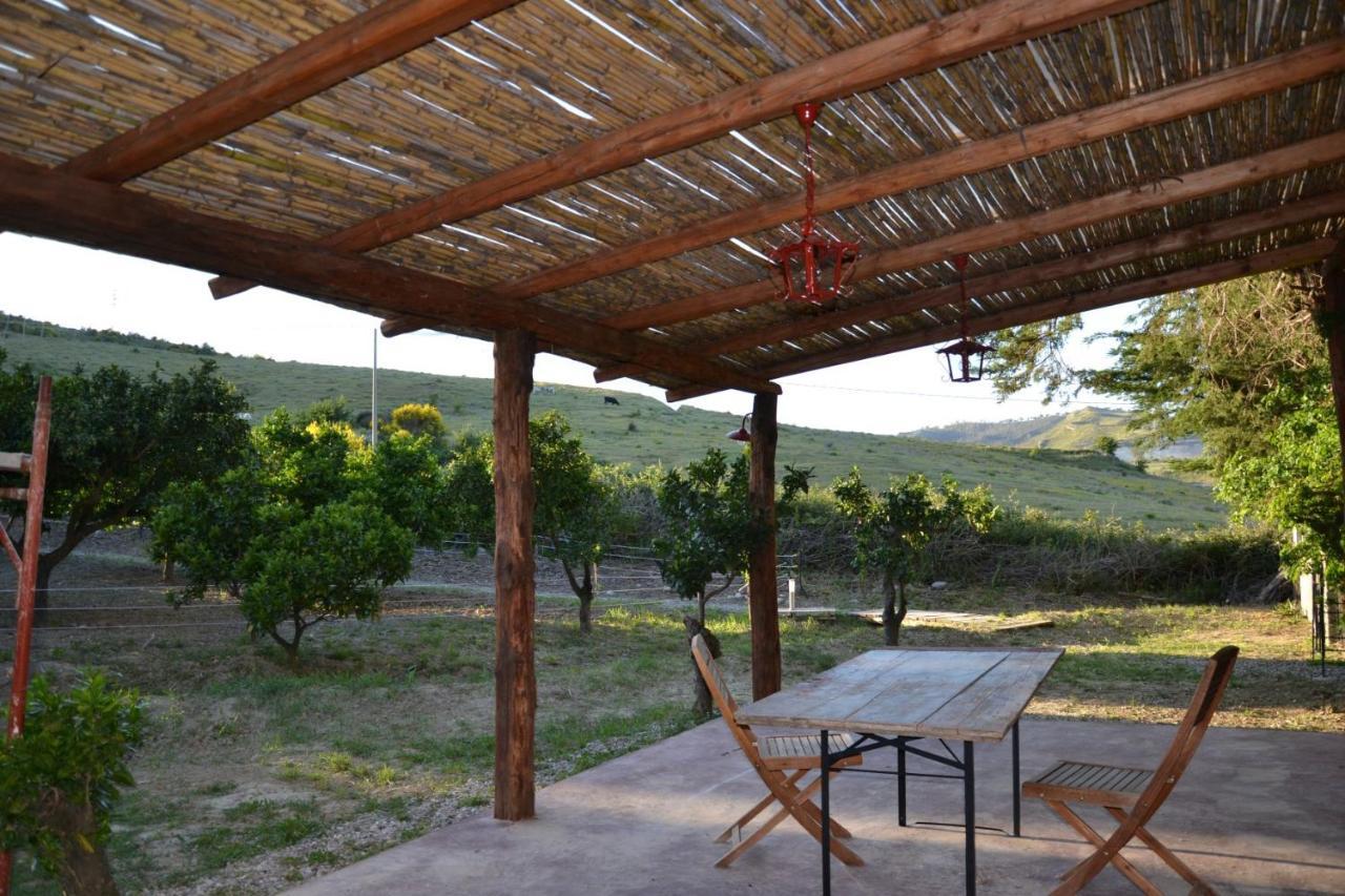 Villa La Cucullera 카탄차로 외부 사진